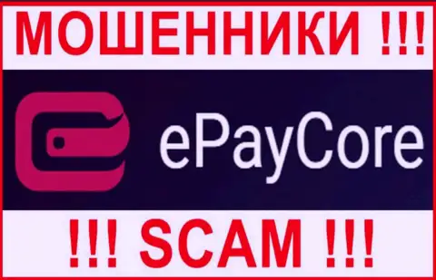 Логотип ЖУЛИКА EPayCore