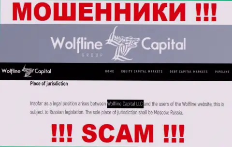 Юридическое лицо компании Wolfline Capital - это ООО Волфлайн Капитал