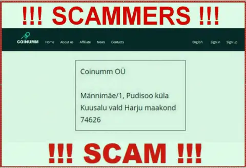 Coinumm Com thieves company address