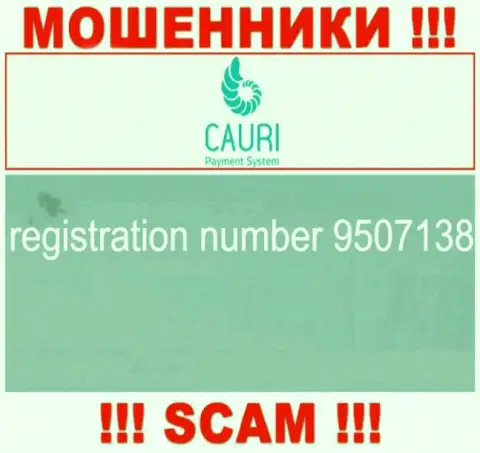 Номер регистрации, принадлежащий незаконно действующей организации Каури: 9507138