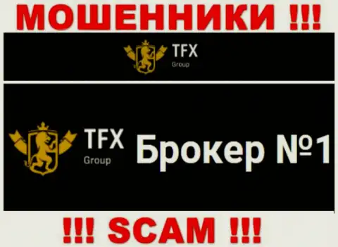 Не нужно доверять вклады TFX Group, поскольку их направление деятельности, FOREX, ловушка
