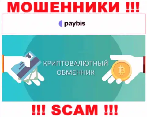 Крипто обменник - это тип деятельности мошеннической конторы PayBis Com