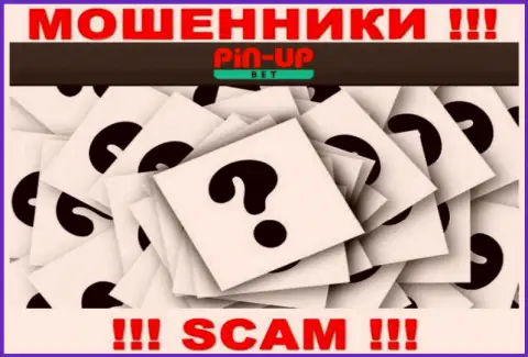 На информационном портале Pin Up Bet не указаны их руководители - мошенники безнаказанно прикарманивают деньги