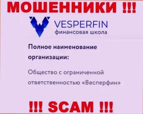 Сведения про юридическое лицо internet мошенников VesperFin - ООО Весперфин, не обезопасит вас от их грязных лап