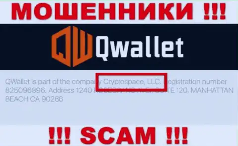 На официальном web-сервисе Q Wallet отмечено, что этой организацией управляет Cryptospace LLC