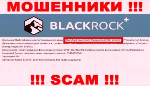 Владельцами BlackRock Plus является организация - BlackRock Investment Management (UK) Ltd