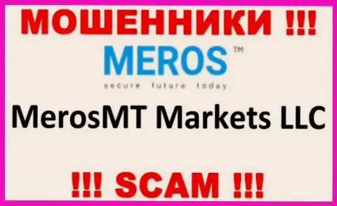 Организация, управляющая мошенниками MerosTM - это МеросМТ Маркетс ЛЛК