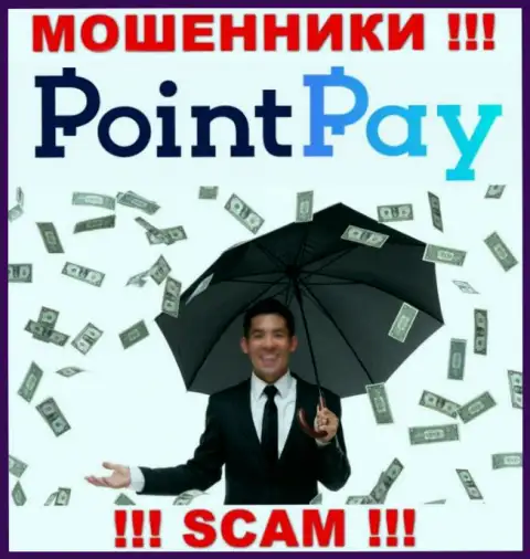 Не угодите в сети интернет кидал PointPay, финансовые активы не увидите