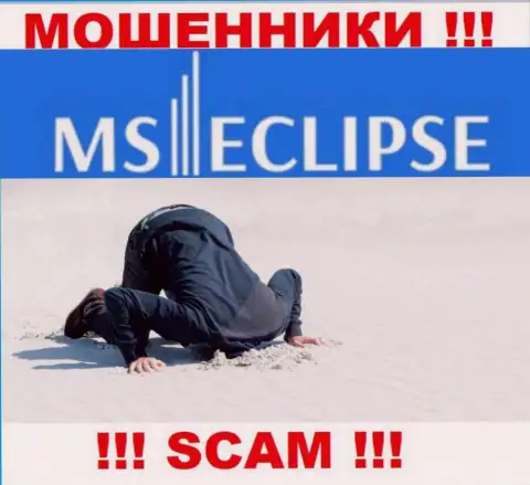 С MSEclipse довольно рискованно совместно работать, поскольку у организации нет лицензии и регулирующего органа