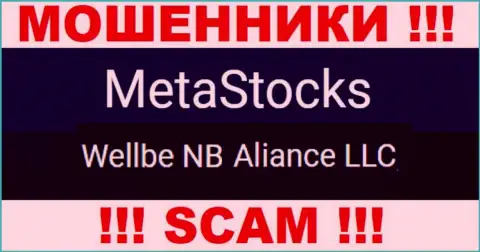 Юридическое лицо internet мошенников MetaStocks - Веллбе НБ Альянс ЛЛК
