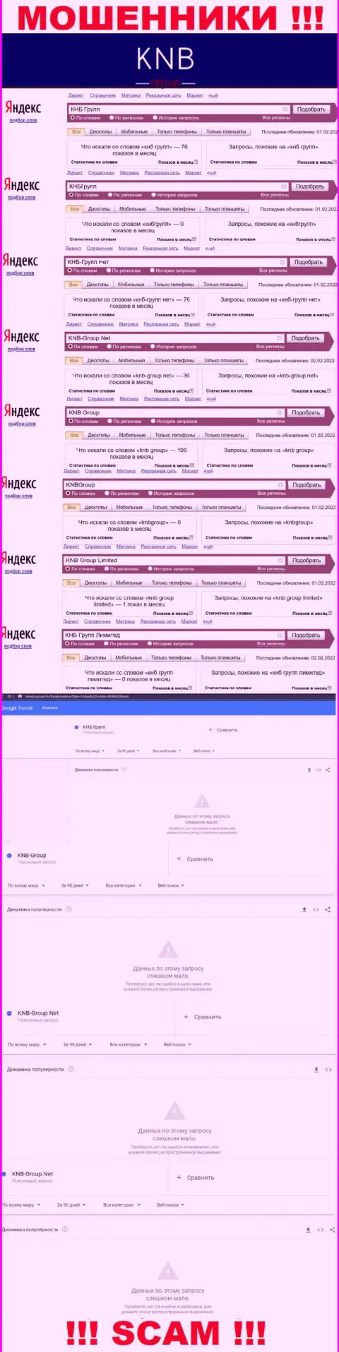 Скриншот статистических данных поисковых запросов по неправомерно действующей организации KNB Group Limited