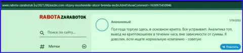 Ещё один клиент делится своим мнением об Форекс дилинговой организации ЕХ Брокерс на ресурсе rabota zarabotok ru