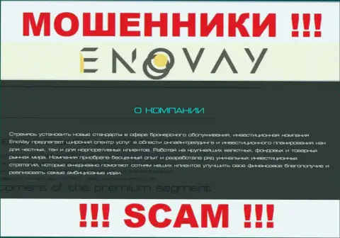 Так как деятельность internet-мошенников EnoVay - это обман, лучше будет работы с ними избегать