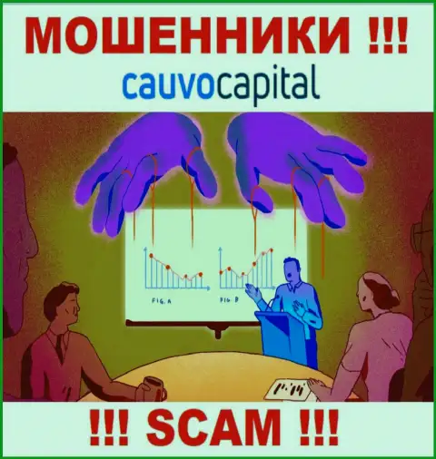 Очень рискованно соглашаться связаться с internet-мошенниками CauvoCapital, украдут деньги