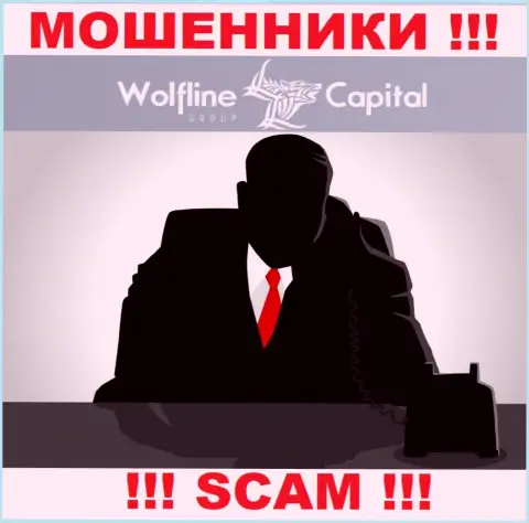 Не тратьте время на поиск информации о непосредственном руководстве Wolfline Capital, все сведения тщательно скрыты